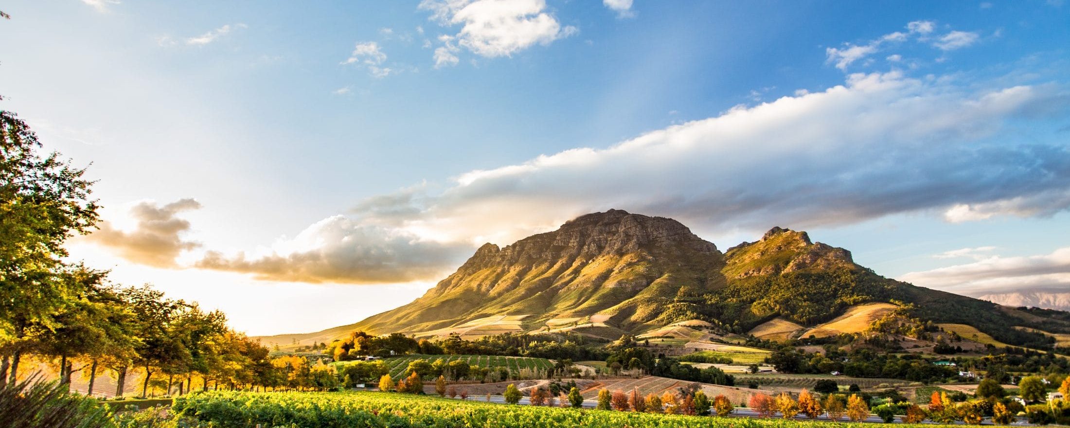 South Africa Tour Packages South Frica Holiday Packages from Delhi India